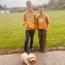 boys with Skye out for a walk