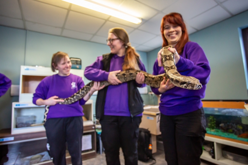 staff at Dumbarton with a snake