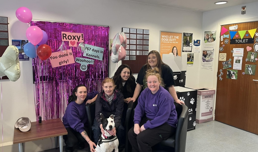 Roxy posing with centre staff on rehoming day