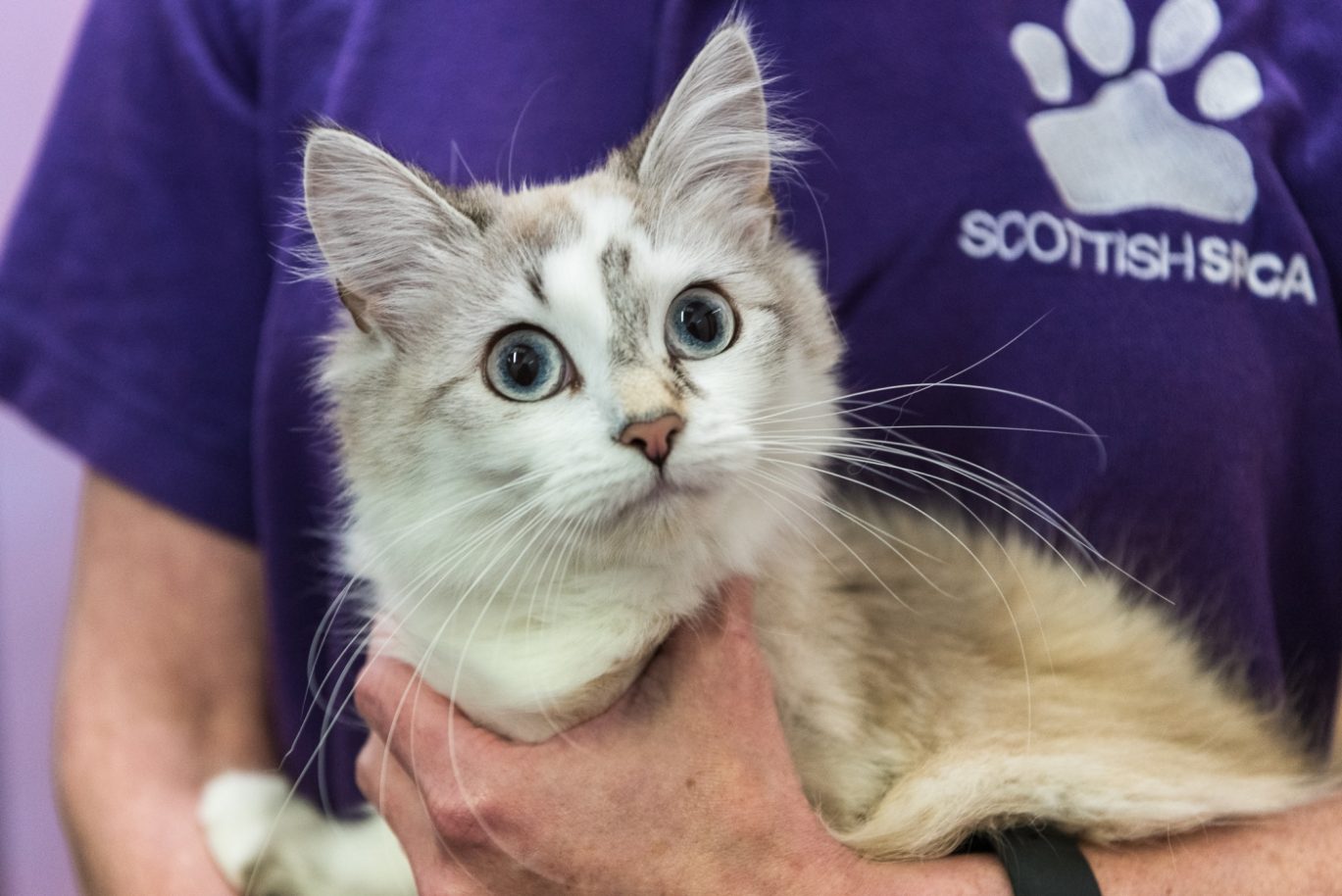 Man holding a cat.