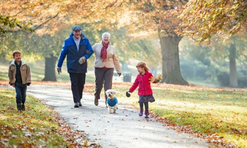 Family walking a dog