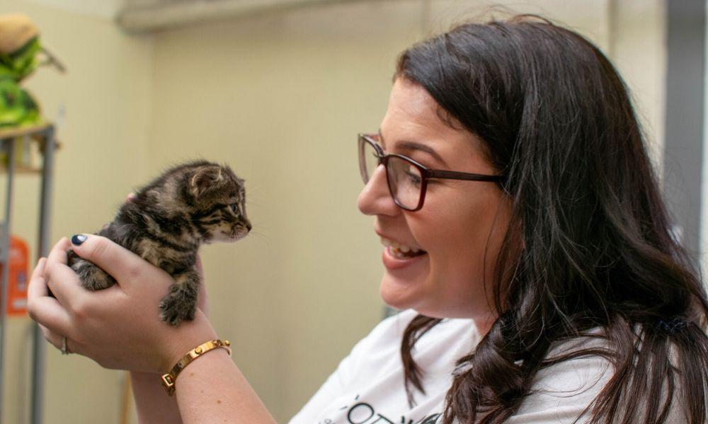 Woman holding a kitten