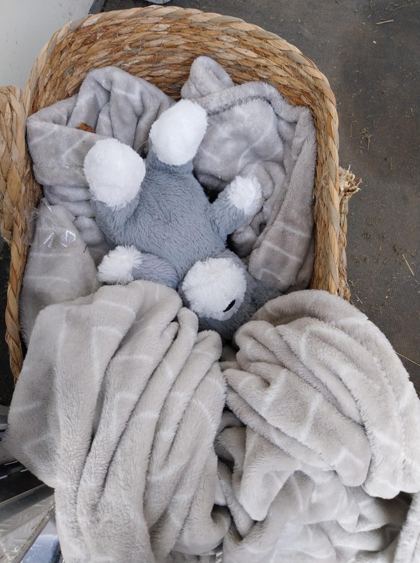 wicker basket with toy and blanket