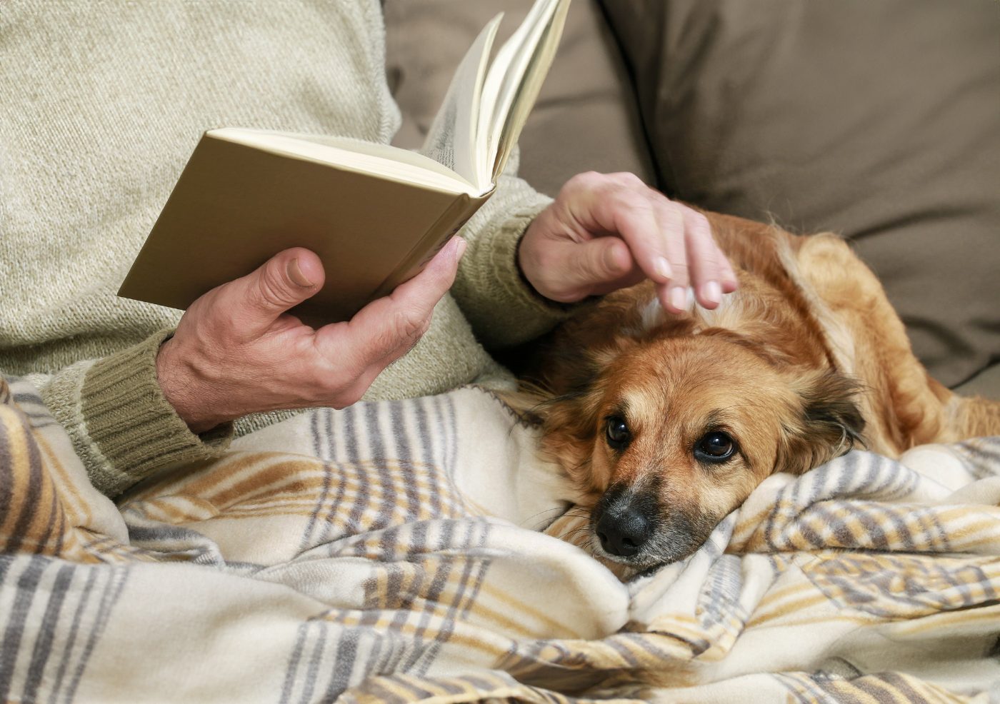 A man reading a book clapping a dog