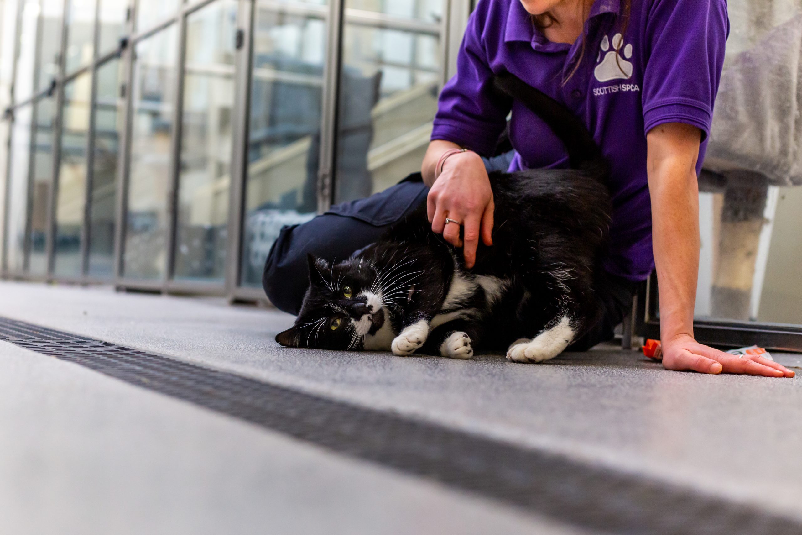 Woman and cat.