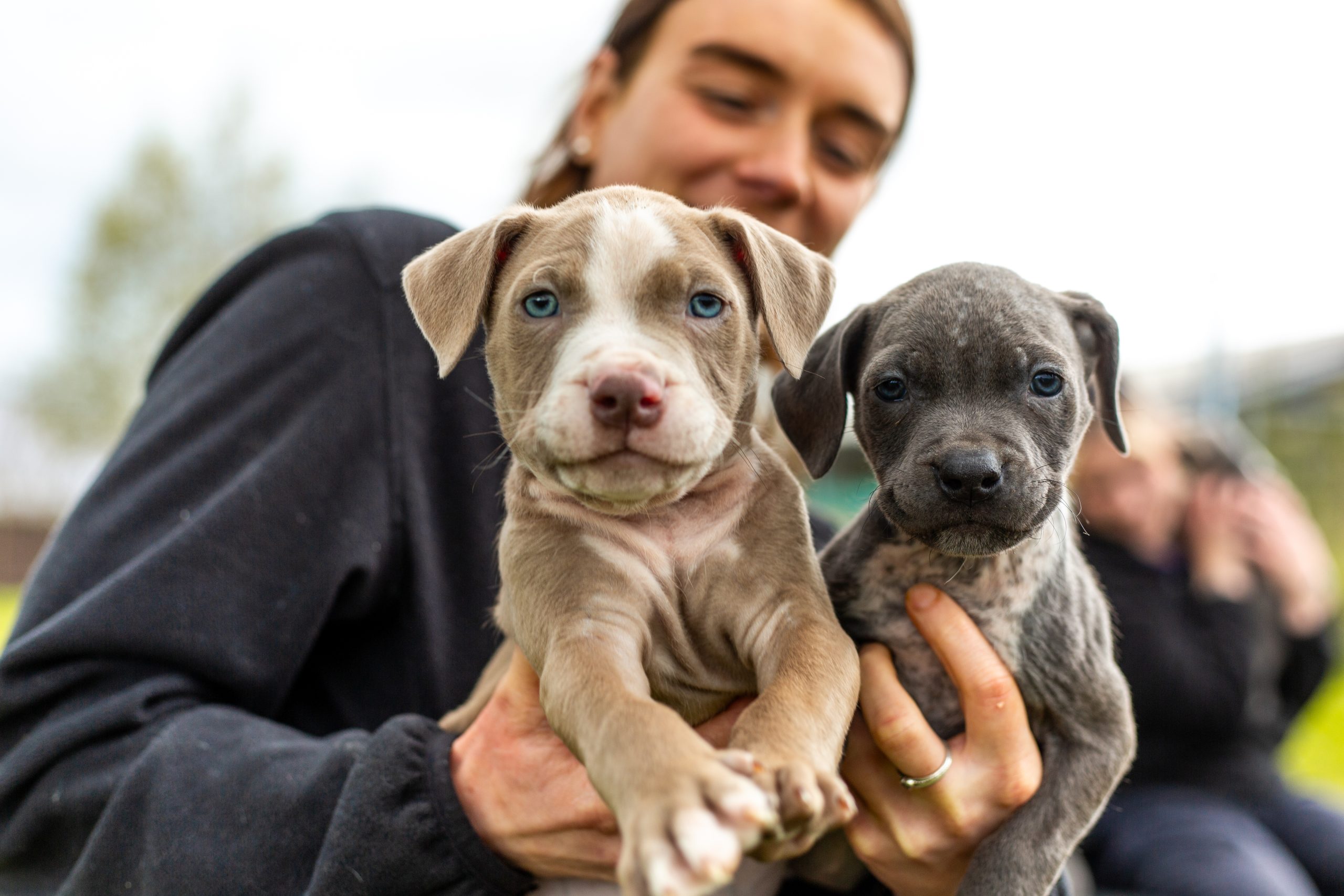 Woman and two puppies