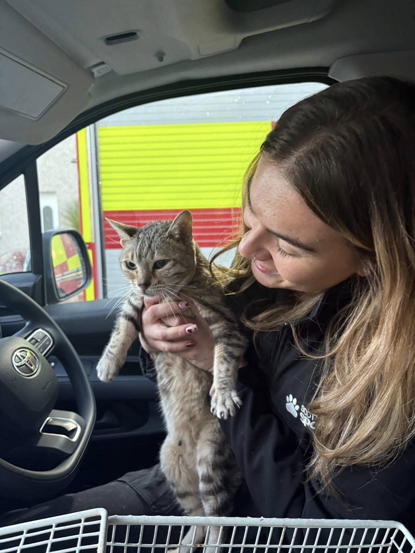 Cleo the cat with animal rescue officer